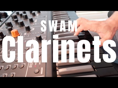 SWAM Clarinets In Action