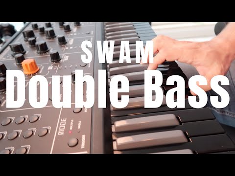 SWAM Double Bass In Action