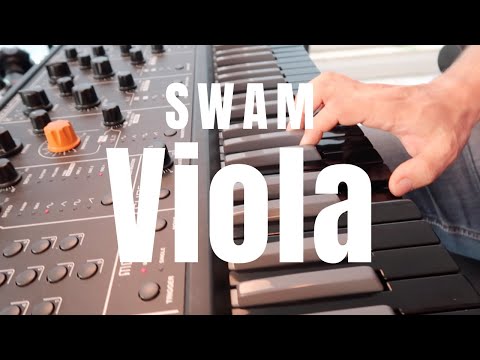 SWAM Viola In Action