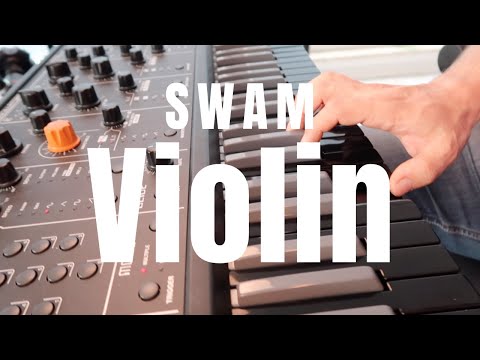 SWAM Violin In Action